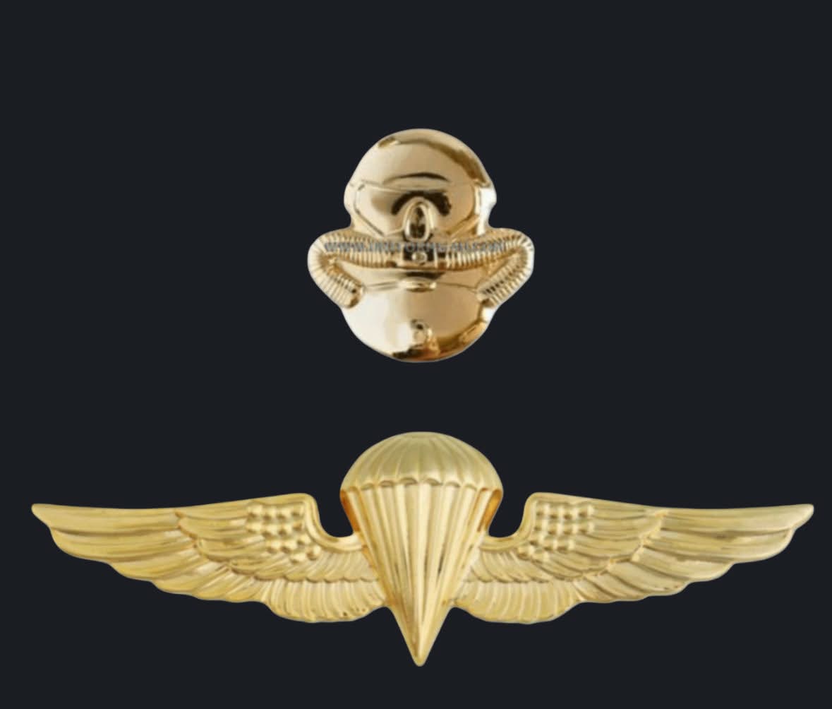 Gold dive and airborne qualification badges