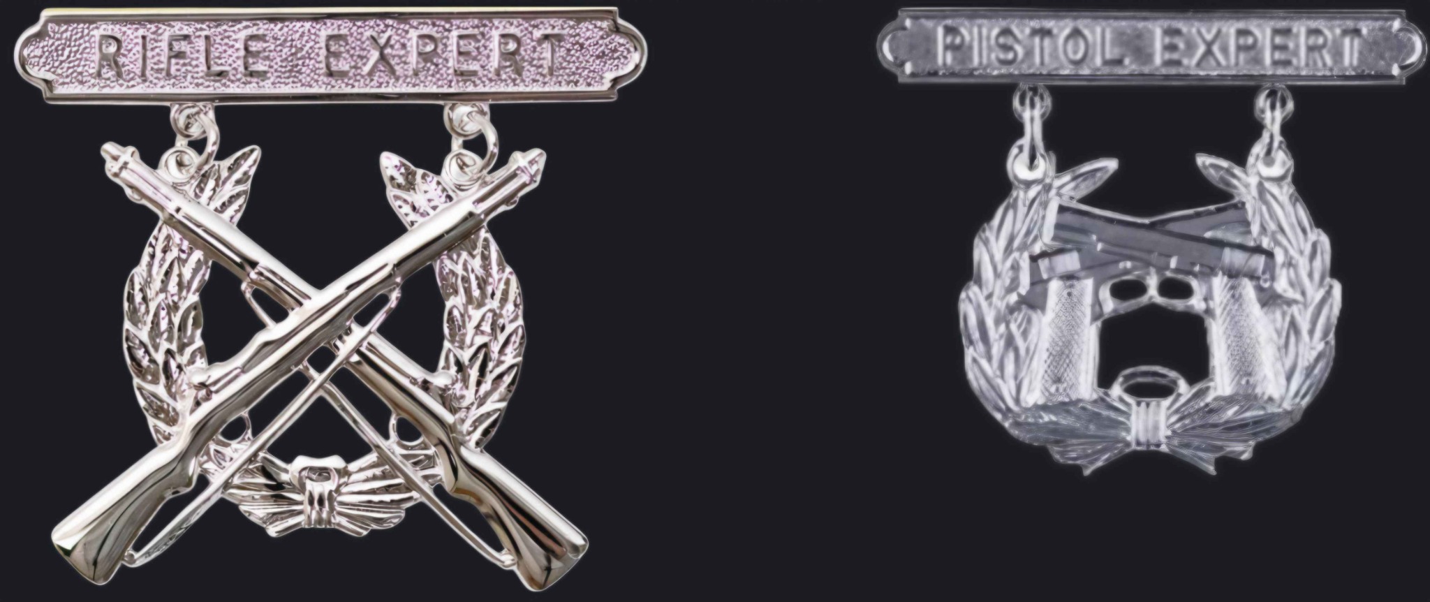 Rifle and pistol expert badges