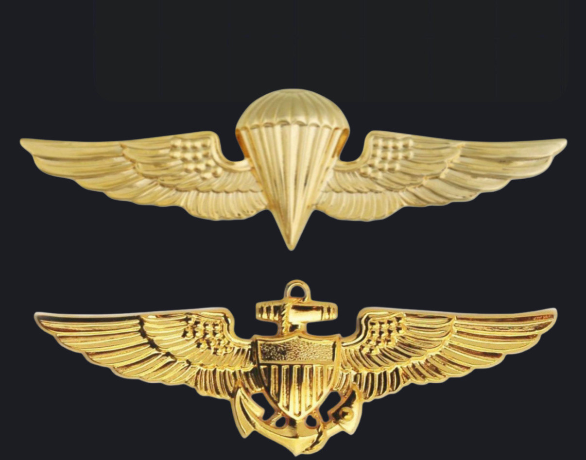 Military free-fall parachutist badge and naval aviator wings